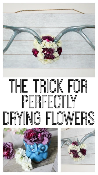 Learn how to get beautiful and vibrant dried flowers in this post!  The trick to drying flowers is easy, and you can create beautiful dried flower art!